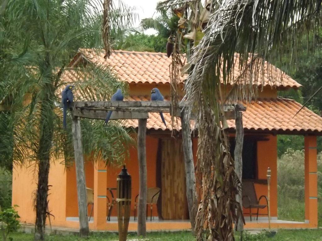 Pousada Reserva Ecologica Jaguar Poconé Exterior foto